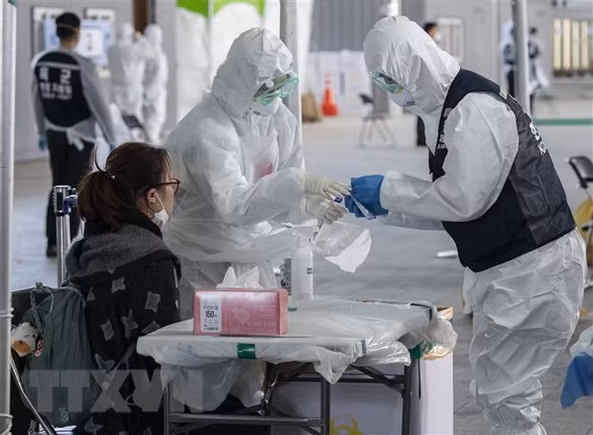 COVID-19 : pas de nouveau cas d’infection durant deux semaines ảnh 1 COVID-19 : pas de nouveau cas d’infection durant deux semaines ảnh 1