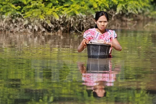 Innondations : L’ASEAN s’efforce d’aider les sinistrés au Myanmar ảnh 1 Innondations : L’ASEAN s’efforce d’aider les sinistrés au Myanmar ảnh 1