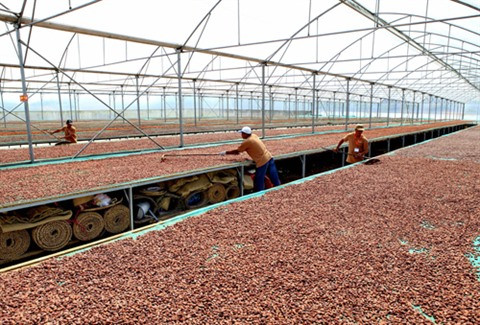 Vietnam - Belgique: coopération renforcée dans l’agriculture ảnh 2 Vietnam - Belgique: coopération renforcée dans l’agriculture ảnh 2