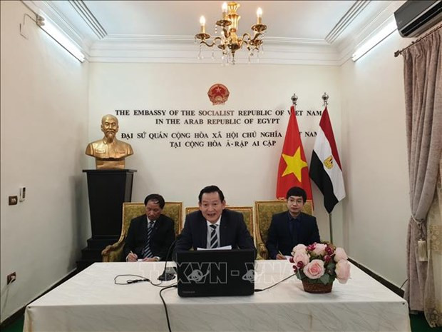 Activités célébrant l’anniversaire du Président Ho Chi Minh en Égypte et au Mexique ảnh 1 Activités célébrant l’anniversaire du Président Ho Chi Minh en Égypte et au Mexique ảnh 1