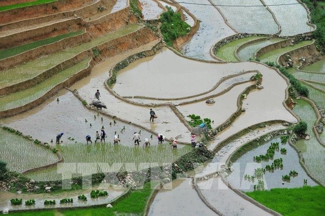 Yên Bai : Bientôt les activités touristiques de la Saison d’eau 2020 ảnh 1