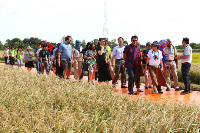 Les délégués apprécient la Semaine de la sécurité alimentaire de l'APEC organisée par le Vietnam ảnh 1 Les délégués apprécient la Semaine de la sécurité alimentaire de l'APEC organisée par le Vietnam ảnh 1