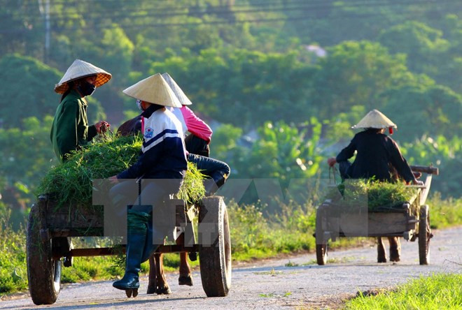 Approbation d'un projet financé par l'Allemagne ảnh 1