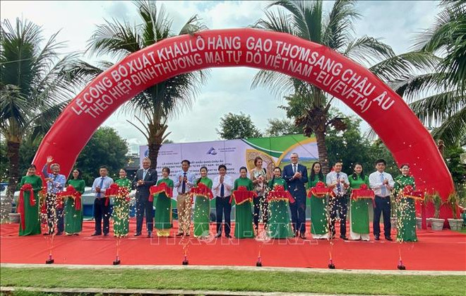 EVFTA : 126 tonnes de riz parfumé du Vietnam exportées vers l’Union européenne ảnh 1 EVFTA : 126 tonnes de riz parfumé du Vietnam exportées vers l’Union européenne ảnh 1