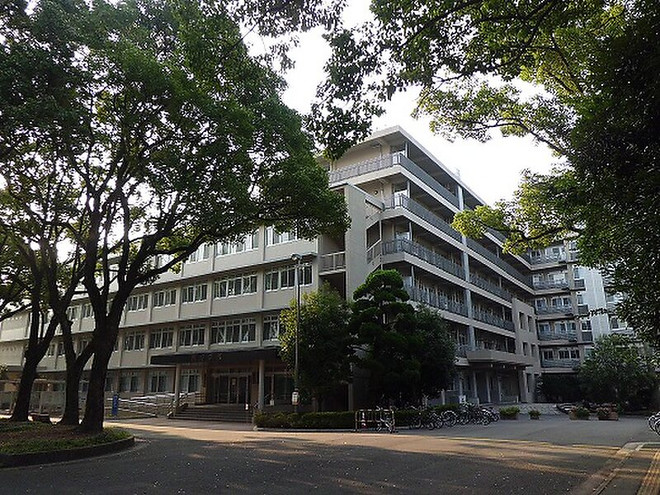 Nagasaki (Japon) cherche à attirer plus d'étudiants vietnamiens ảnh 1 Nagasaki (Japon) cherche à attirer plus d'étudiants vietnamiens ảnh 1