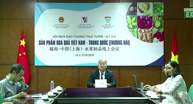 Le Vietnam cherche à stimuler le commerce des fruits avec Shanghai ảnh 1 Le Vietnam cherche à stimuler le commerce des fruits avec Shanghai ảnh 1