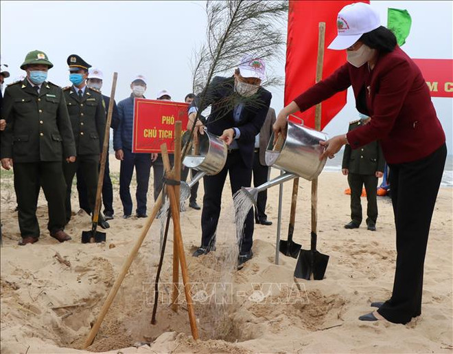 La Fête de plantation d'arbres du Printemps 2021 lancée à Quang Binh ảnh 1 La Fête de plantation d'arbres du Printemps 2021 lancée à Quang Binh ảnh 1