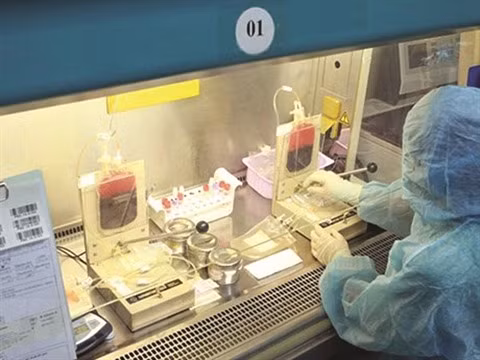 Une greffe prometteuse pour les gens atteints de cancers du sang ảnh 2