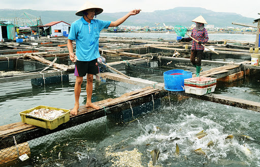 Mise en chantier d’une usine de production des aliments pour l'aquaculture à Long An ảnh 1