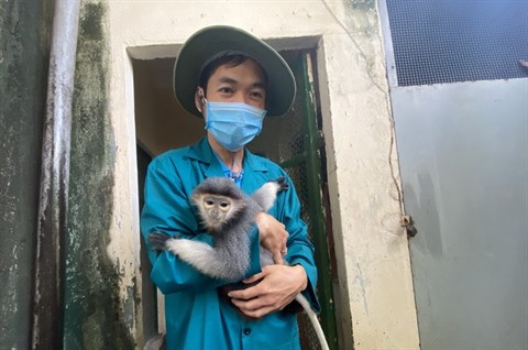 À Thao Câm Viên, les animaux sont aidés pour surmonter la crise du COVID-19 ảnh 2 À Thao Câm Viên, les animaux sont aidés pour surmonter la crise du COVID-19 ảnh 2