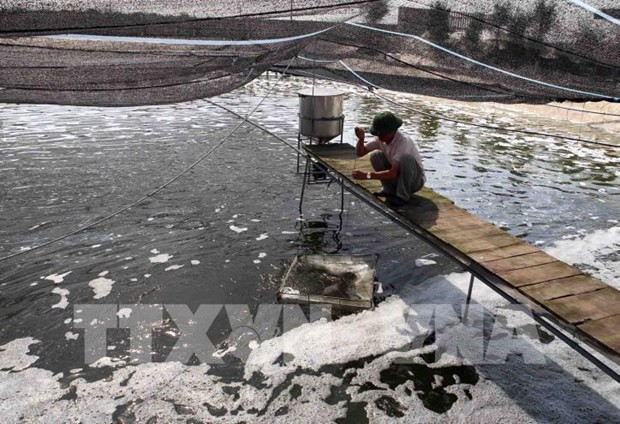 Bac Giang cherche à construire 130 modèles d'aquaculture intensive de haute technologie ảnh 1 Bac Giang cherche à construire 130 modèles d'aquaculture intensive de haute technologie ảnh 1