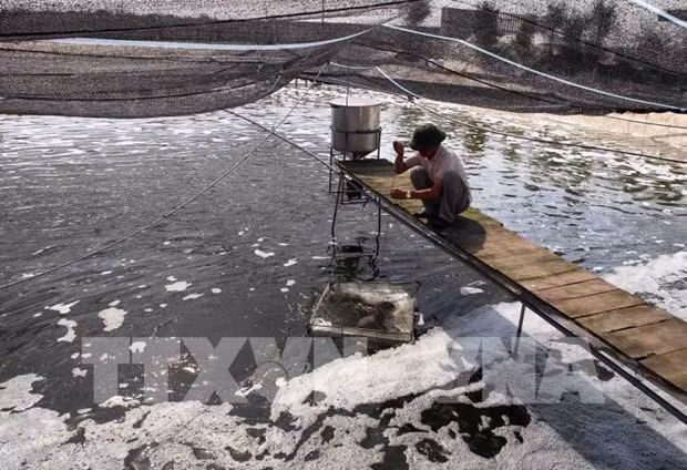 Bac Giang cherche à construire 130 modèles d'aquaculture intensive de haute technologie ảnh 1