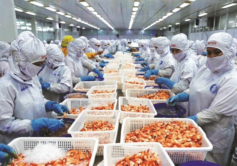 CPTPP : le libre-échange tous azimuts en Asie-Pacifique ảnh 2 CPTPP : le libre-échange tous azimuts en Asie-Pacifique ảnh 2