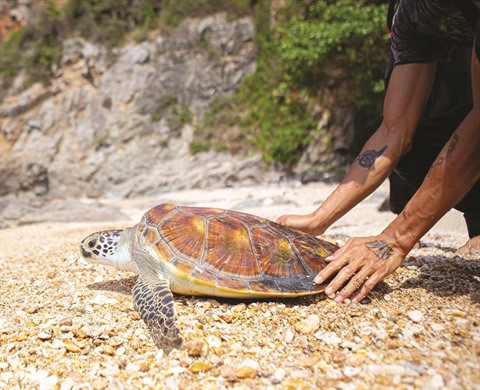 Un ardent protecteur des espèces marines ảnh 1