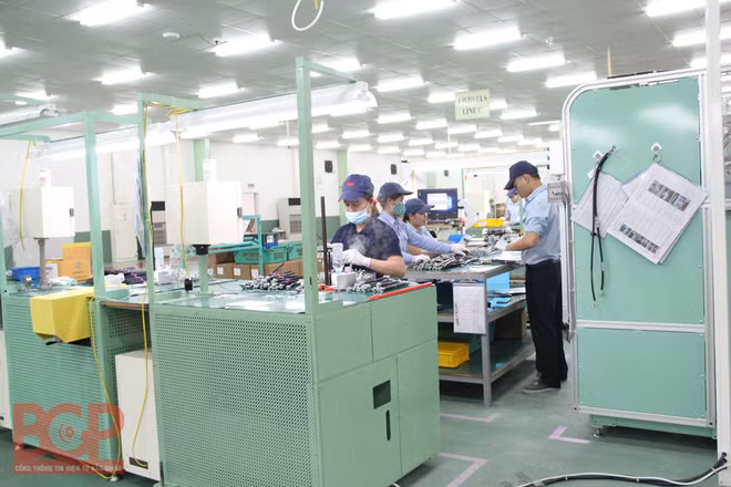 La province de Bac Giang stimule l'application des biotechnologies ảnh 2