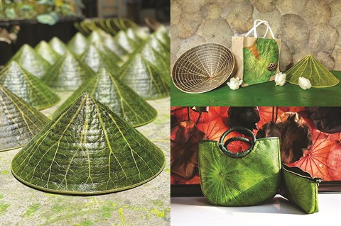 Feuilles de lotus, source d’inspiration infinie pour un jeune peintre huéen ảnh 2 Feuilles de lotus, source d’inspiration infinie pour un jeune peintre huéen ảnh 2