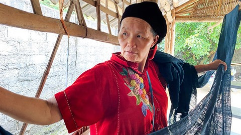 La brocatelle dans le Nord-Ouest suit aussi la mode ảnh 1 La brocatelle dans le Nord-Ouest suit aussi la mode ảnh 1
