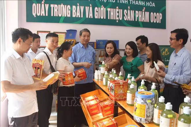 Thanh Hoa compte 24 nouveaux produits aux normes OCOP ảnh 1 Thanh Hoa compte 24 nouveaux produits aux normes OCOP ảnh 1