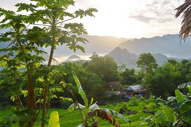 Des destinations touristiques à ne pas manquer à Thanh Hoa ảnh 4 Des destinations touristiques à ne pas manquer à Thanh Hoa ảnh 4