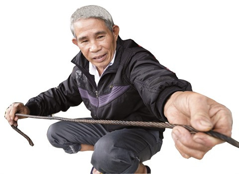 La traque aux buffles ensauvagés à Quang Tri ảnh 1 La traque aux buffles ensauvagés à Quang Tri ảnh 1