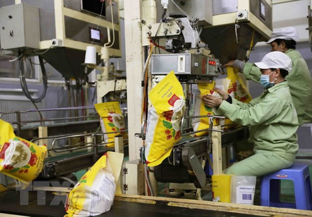 Le groupe Loc Troi expédie plus de 4.000 tonnes de riz vers l'Europe ảnh 1 Le groupe Loc Troi expédie plus de 4.000 tonnes de riz vers l'Europe ảnh 1