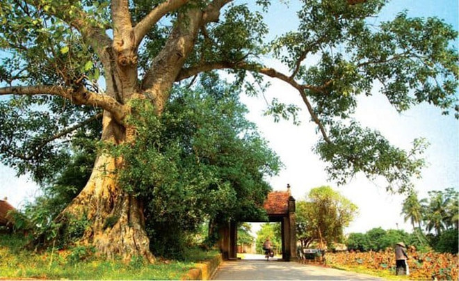 Hanoï se prépare à recevoir à nouveau des touristes ảnh 2