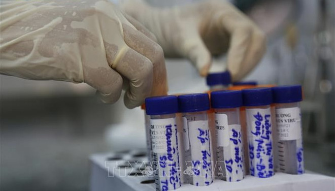 COVID-19 : le total s’établit à 12.231 cas confirmés ảnh 1 COVID-19 : le total s’établit à 12.231 cas confirmés ảnh 1