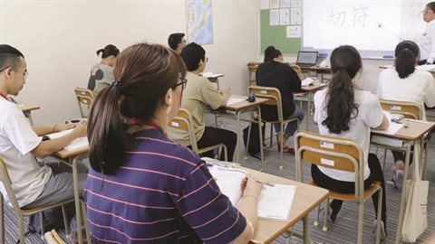 Des élèves vietnamiens insufflent un "vent nouveau" sur un archipel japonais ảnh 1 Des élèves vietnamiens insufflent un "vent nouveau" sur un archipel japonais ảnh 1