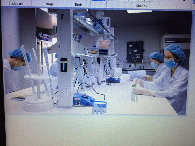 COVID-19 : ASEAN appelle au renforcement de la production de vaccins ảnh 2