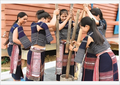 La fête du riz nouveau des Bahnar ảnh 1 La fête du riz nouveau des Bahnar ảnh 1