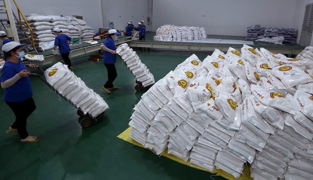 Hanoï fait don de 6.000 tonnes de riz à Ho Chi Minh-Ville et Binh Duong ảnh 1 Hanoï fait don de 6.000 tonnes de riz à Ho Chi Minh-Ville et Binh Duong ảnh 1