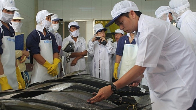 Forte croissance de nombreux produits exportés vers Israël ảnh 1 Forte croissance de nombreux produits exportés vers Israël ảnh 1