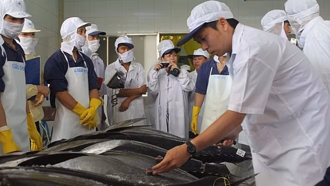 Forte croissance de nombreux produits exportés vers Israël ảnh 1 Forte croissance de nombreux produits exportés vers Israël ảnh 1