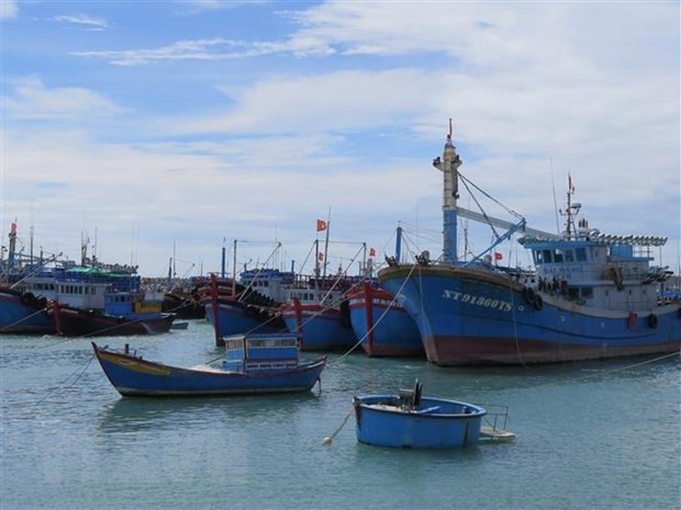 Poursuite de la lutte contre la pêche INN ảnh 1 Poursuite de la lutte contre la pêche INN ảnh 1