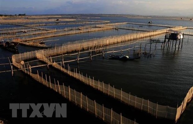 Bac Giang cherche à construire 130 modèles d'aquaculture intensive de haute technologie ảnh 2 Bac Giang cherche à construire 130 modèles d'aquaculture intensive de haute technologie ảnh 2