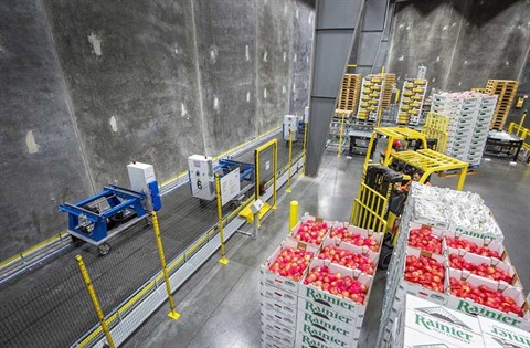 Logistique frigorifique : le réveil de la belle au bois dormant ảnh 1 Logistique frigorifique : le réveil de la belle au bois dormant ảnh 1