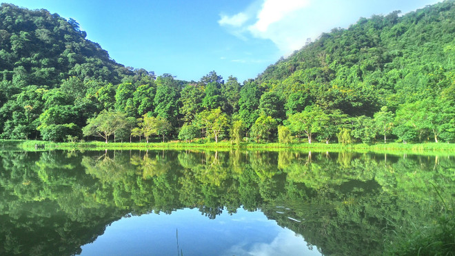 Les huit parcs nationaux les plus impressionnants du Vietnam ảnh 3 Les huit parcs nationaux les plus impressionnants du Vietnam ảnh 3