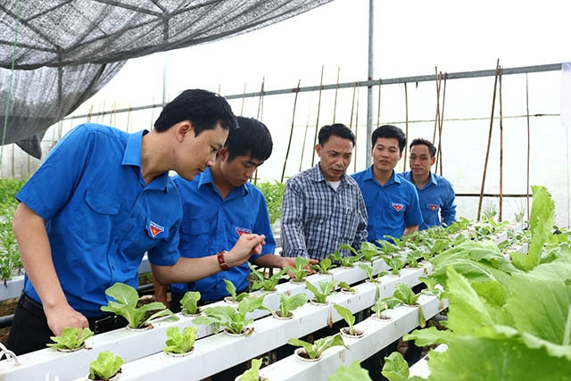 L'Union de la jeunesse communiste accompagne près de 2.000 projets de start-up de jeunes ảnh 1 L'Union de la jeunesse communiste accompagne près de 2.000 projets de start-up de jeunes ảnh 1