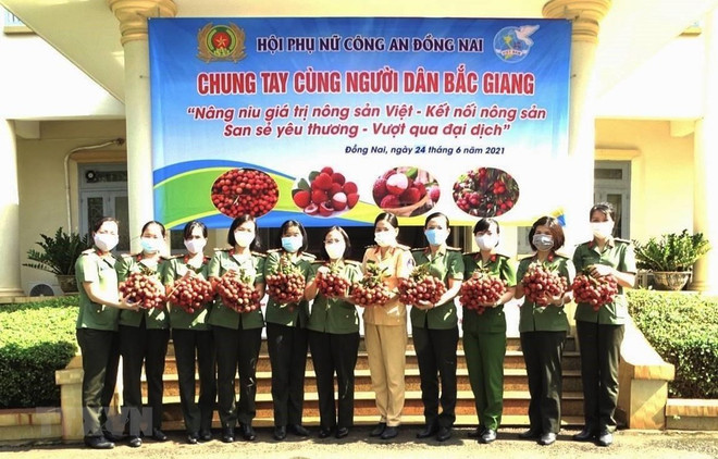 Dong Nai promeut la consommation de litchi « thieu » de Bac Giang ảnh 1 Dong Nai promeut la consommation de litchi « thieu » de Bac Giang ảnh 1