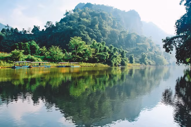 Les huit parcs nationaux les plus impressionnants du Vietnam ảnh 5 Les huit parcs nationaux les plus impressionnants du Vietnam ảnh 5