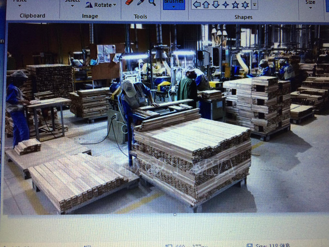 Les exportations nationales de bois ont considérablement augmenté ảnh 1 Les exportations nationales de bois ont considérablement augmenté ảnh 1