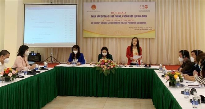 L'UNFPA soutient les efforts du Vietnam contre la violence familiale ảnh 2 L'UNFPA soutient les efforts du Vietnam contre la violence familiale ảnh 2