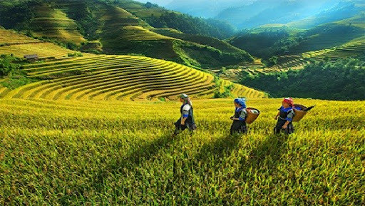 La science et la technologie, base du développement économique des régions montagneuses ảnh 1 La science et la technologie, base du développement économique des régions montagneuses ảnh 1