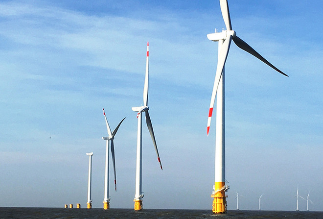 Mise en service de la première centrale éolienne de Ben Tre ảnh 1 Mise en service de la première centrale éolienne de Ben Tre ảnh 1