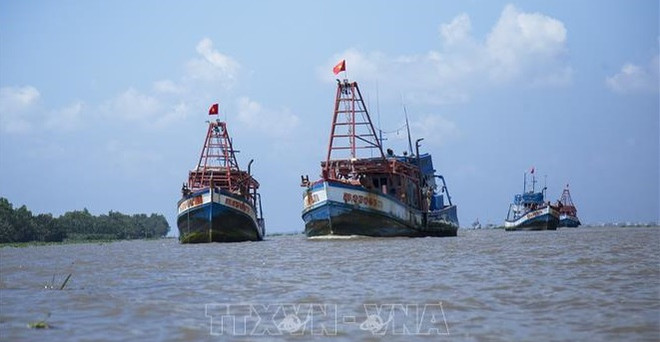 Kien Giang s'efforce de mettre fin à la pêche illégale pour faire retirer le "carton jaune" de la CE ảnh 1 Kien Giang s'efforce de mettre fin à la pêche illégale pour faire retirer le "carton jaune" de la CE ảnh 1