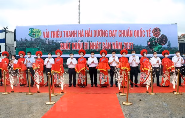 Hai Duong exporte ses premières tonnes de litchi de l'année 2021 ảnh 1