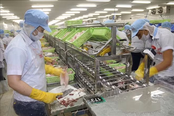 Les exportations de Tien Giang ont augmenté de 19,8% en sept mois ảnh 1