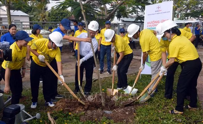 Lancement d'un programme de plantation d'arbres à Soc Trang ảnh 1