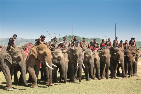 Mes souvenirs du Festival des éléphants ảnh 1 Mes souvenirs du Festival des éléphants ảnh 1