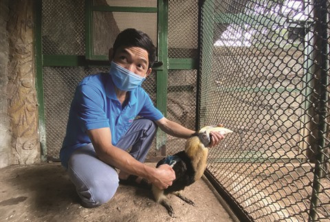 À Thao Câm Viên, les animaux sont aidés pour surmonter la crise du COVID-19 ảnh 1 À Thao Câm Viên, les animaux sont aidés pour surmonter la crise du COVID-19 ảnh 1